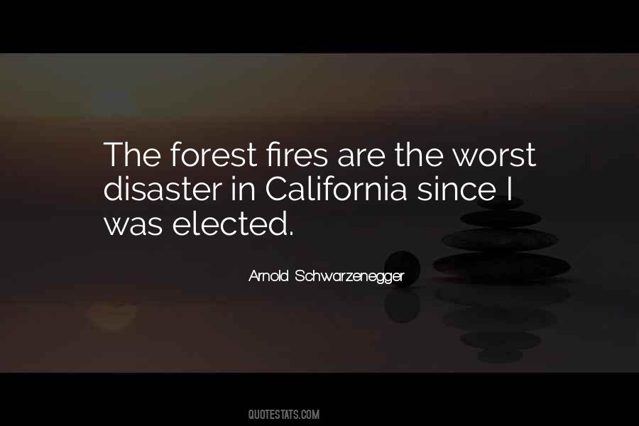 Quotes About Forest Fires #1578461