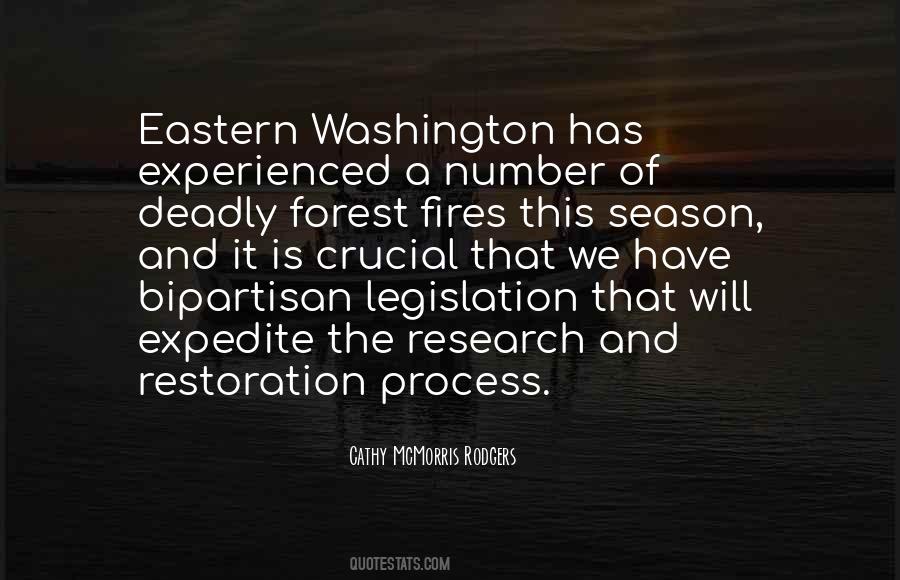 Quotes About Forest Fires #386809