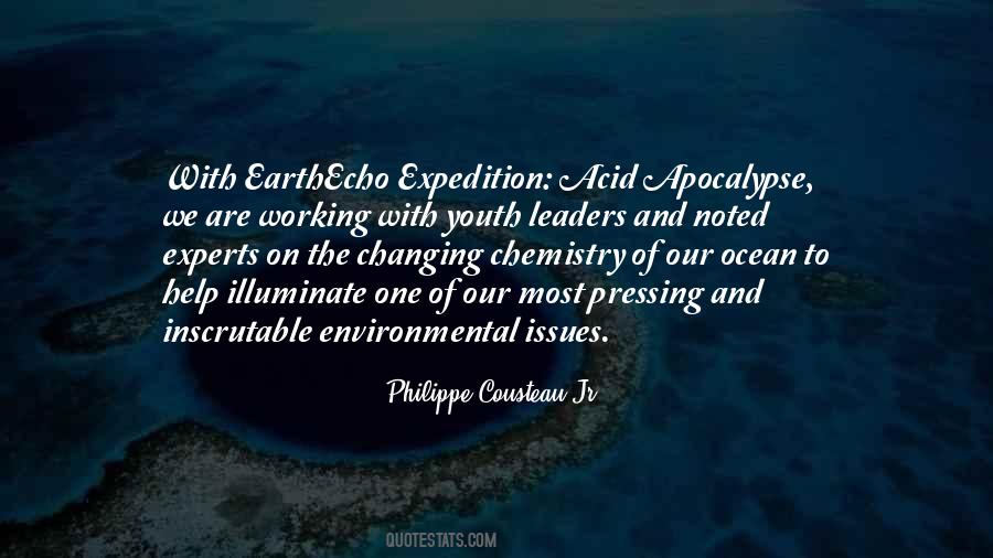 Quotes About The Environmental Issues #1745364