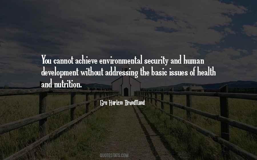 Quotes About The Environmental Issues #574974