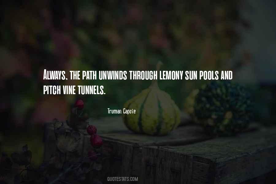 Quotes About Tunnels #1567167