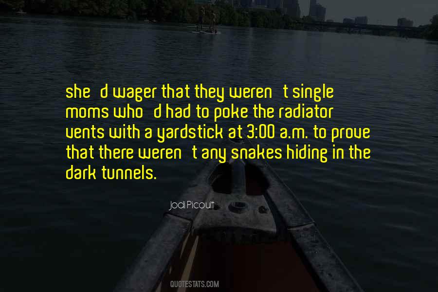 Quotes About Tunnels #885172