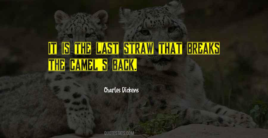 Quotes About Last Straw #1225891