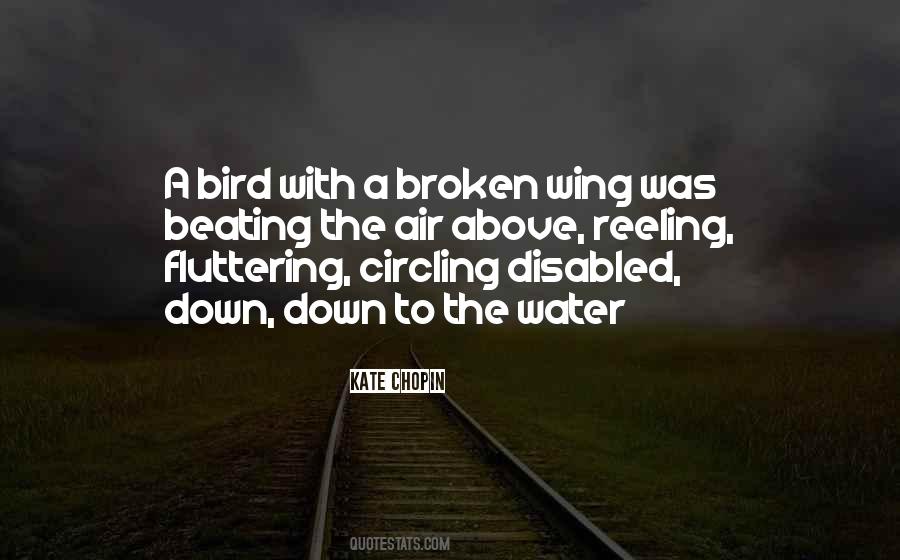 Quotes About Broken Wings #1018491