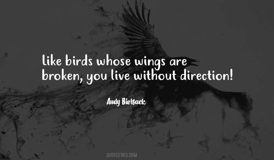 Quotes About Broken Wings #522761
