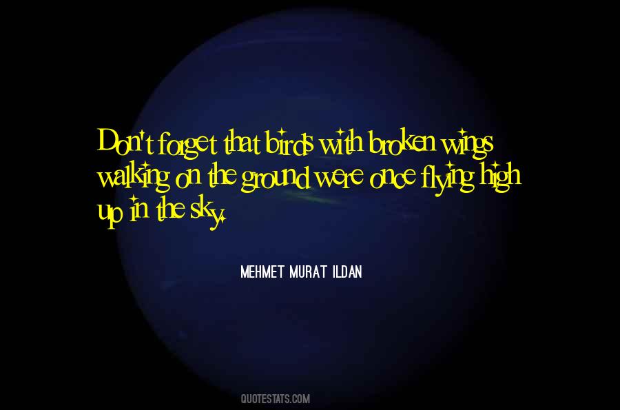 Quotes About Broken Wings #552078