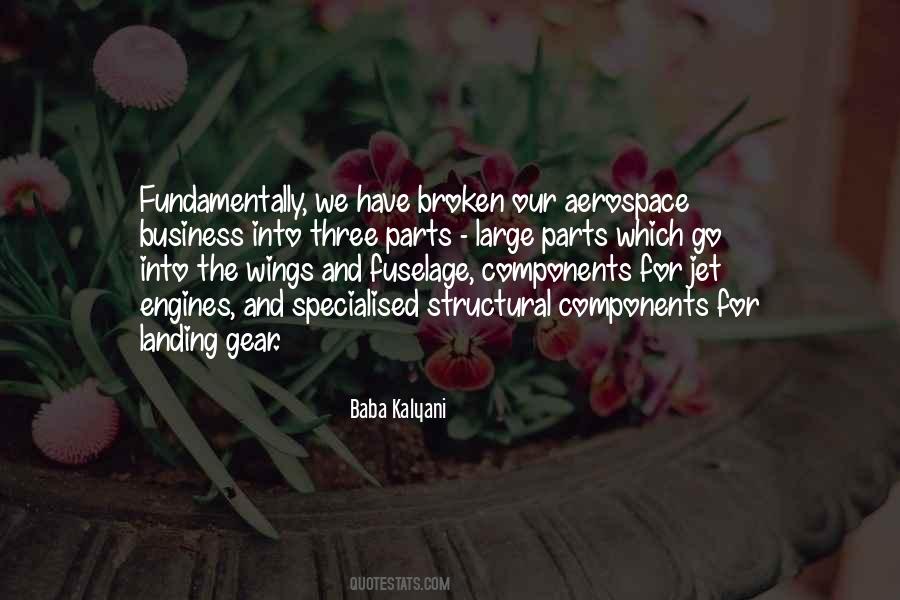 Quotes About Broken Wings #688047
