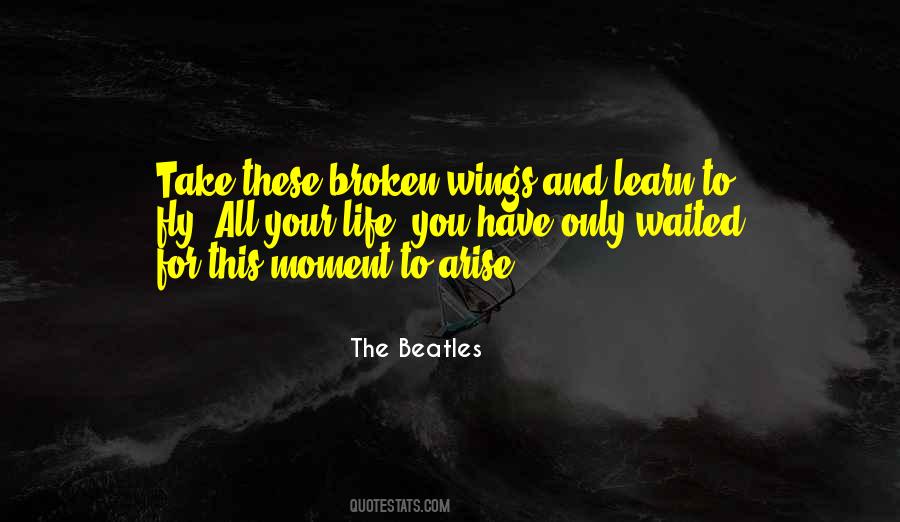 Quotes About Broken Wings #71362