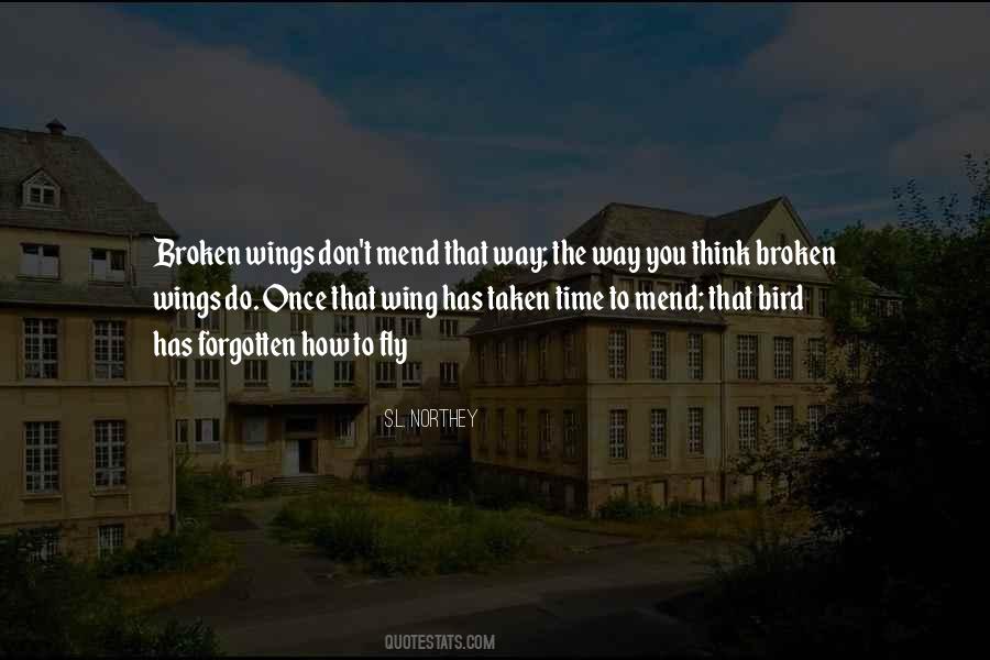 Quotes About Broken Wings #876889