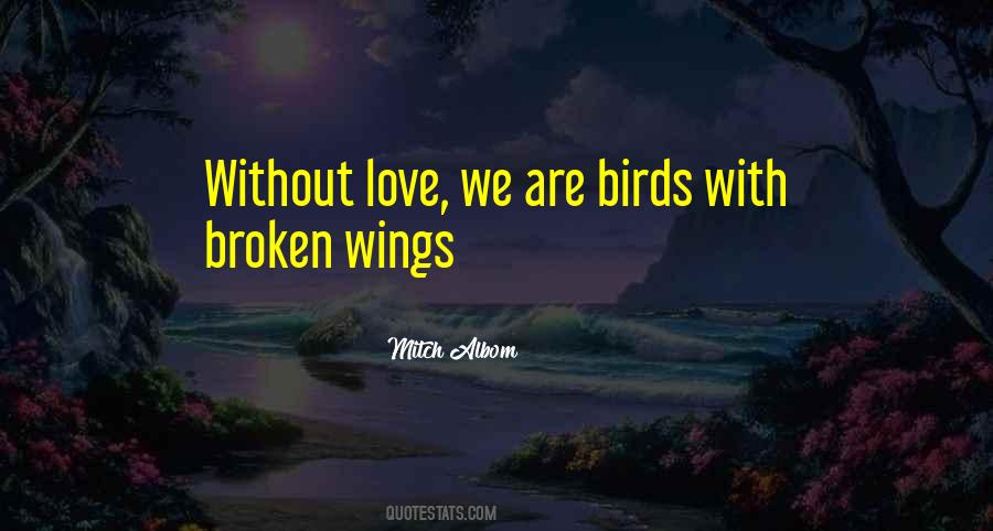 Quotes About Broken Wings #922186