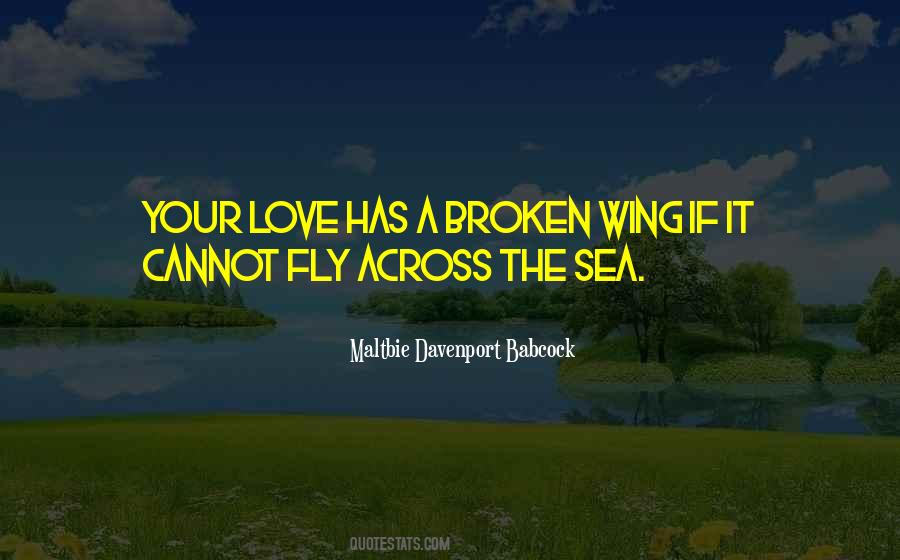 Quotes About Broken Wings #924974