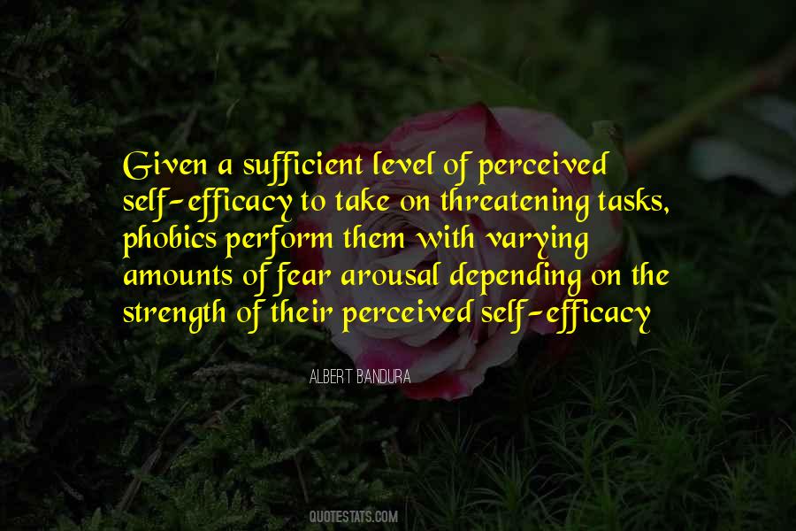 Quotes About Self Efficacy #1026412