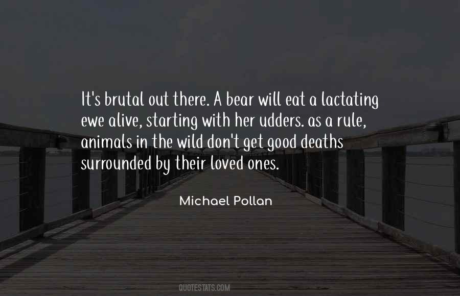 Quotes About A Bear #1685631