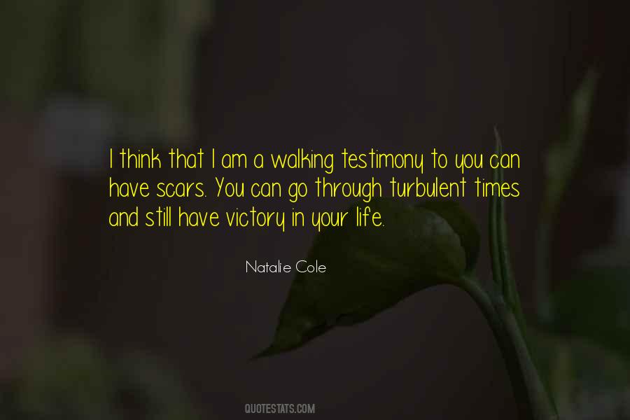 Quotes About Victory In Life #145106