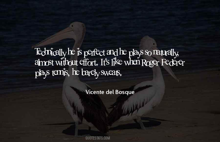 Quotes About He Is Perfect #778429