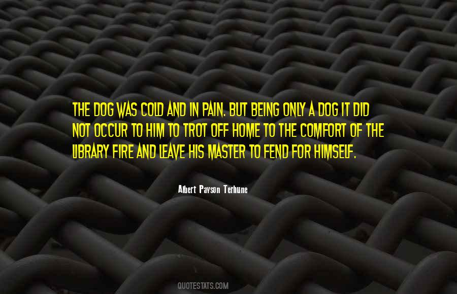 Cold Comfort Quotes #969367