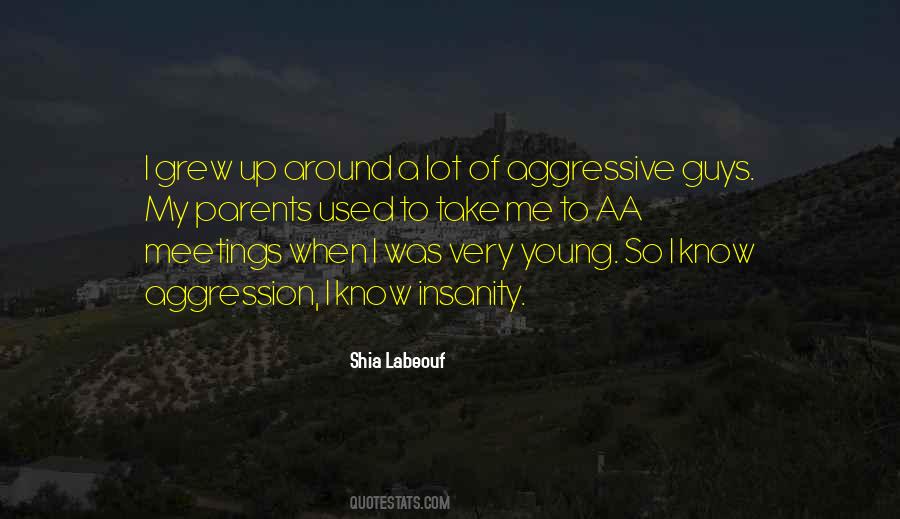 Quotes About Aggression #1287124