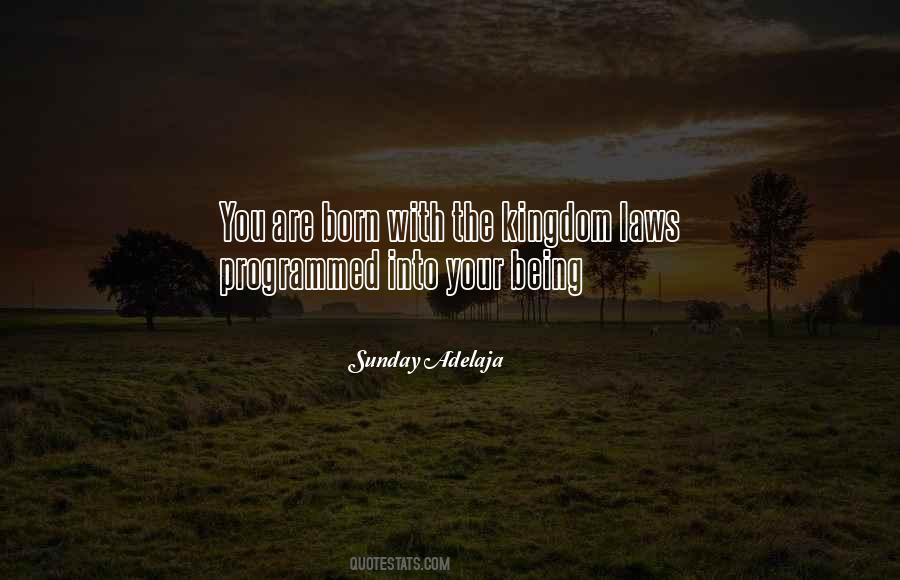 Quotes About Being Programmed #1490665