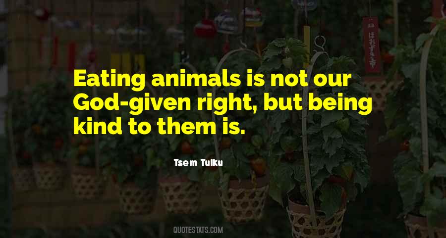 Quotes About Not Eating Animals #1588373