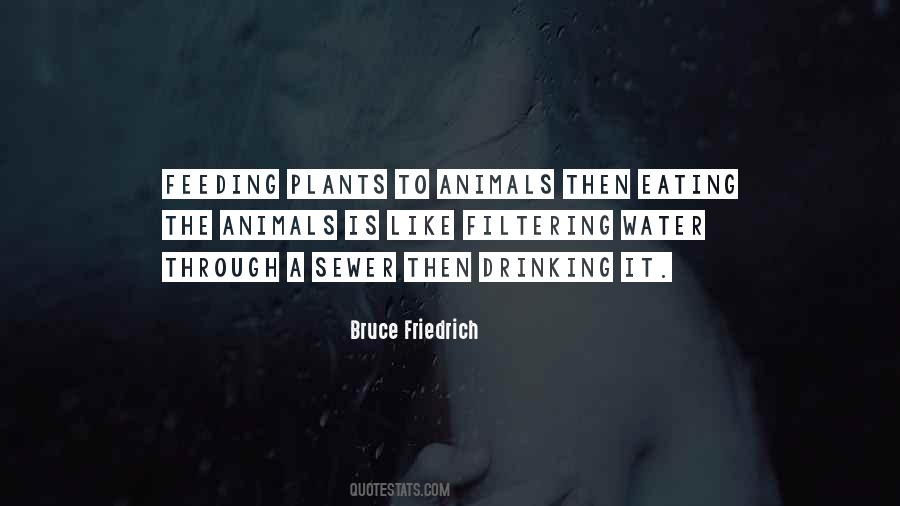 Quotes About Not Eating Animals #623256