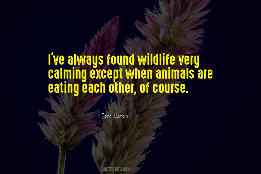 Quotes About Not Eating Animals #999987