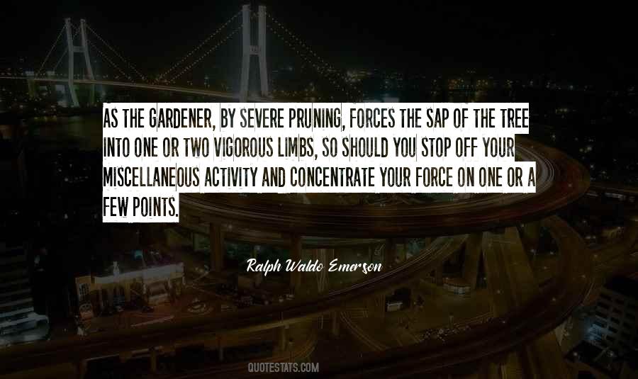 Quotes About Miscellaneous #558084