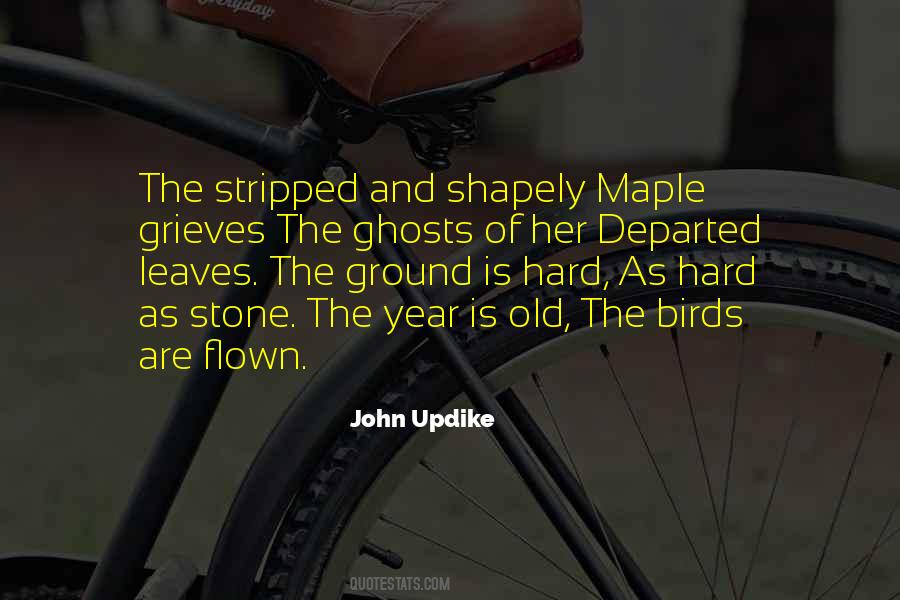 Hard Of Stone Quotes #1771098