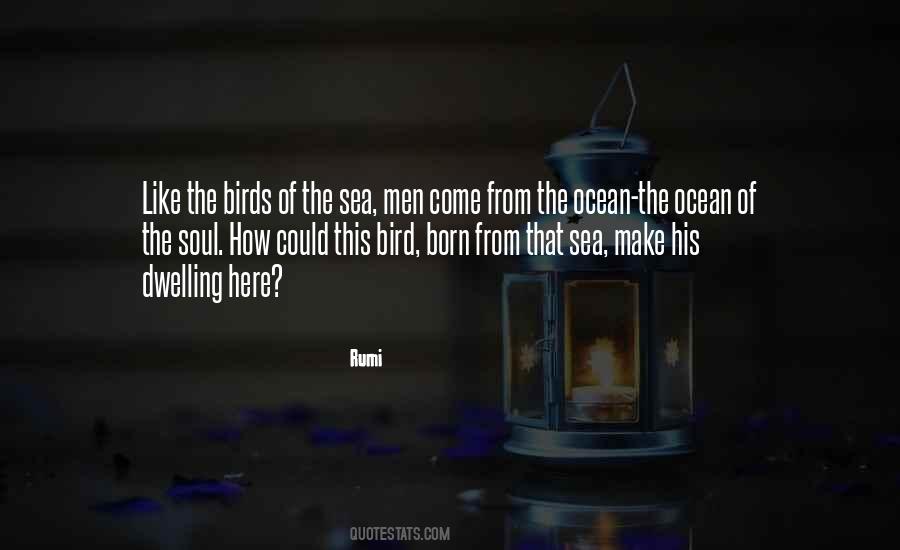 Sea Birds Quotes #1856296