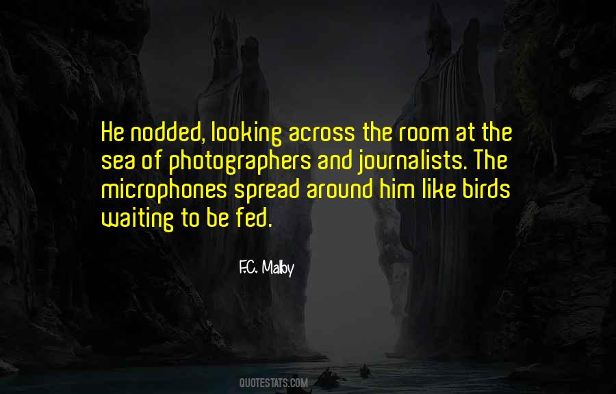 Sea Birds Quotes #691505