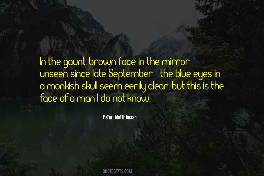 Quotes About Face In The Mirror #164097