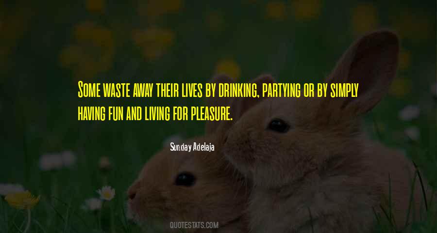Quotes About Partying And Having Fun #426488