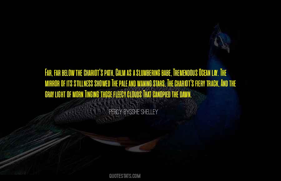 Ocean Of Light Quotes #1733085