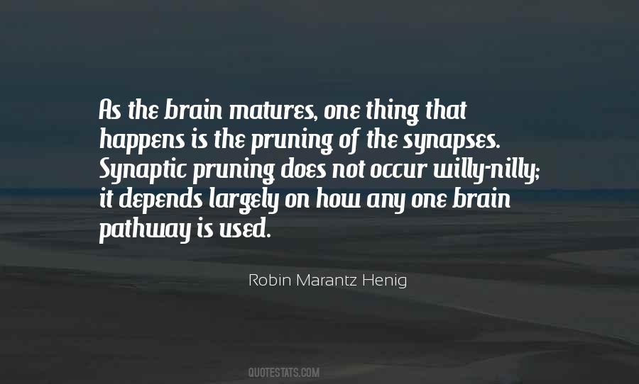 Synapses In The Brain Quotes #1656812