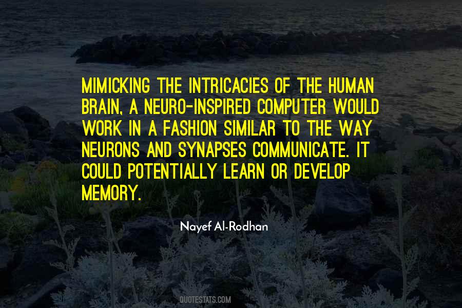 Synapses In The Brain Quotes #1747503