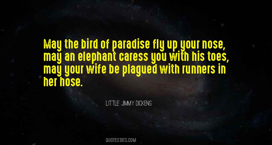 Fly Little Bird Quotes #1480568