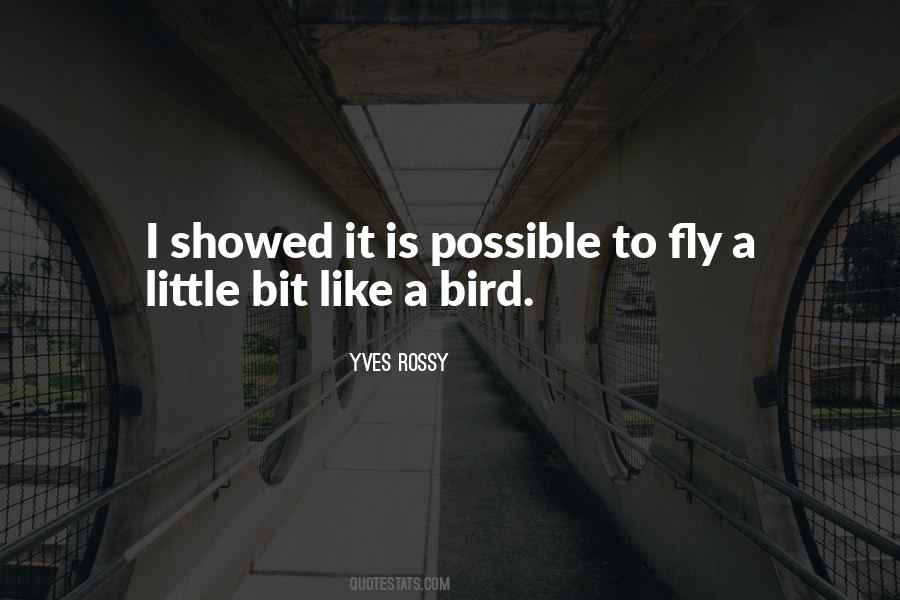 Fly Little Bird Quotes #415033