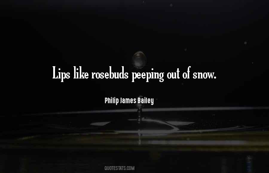 Quotes About Peeping #1089621