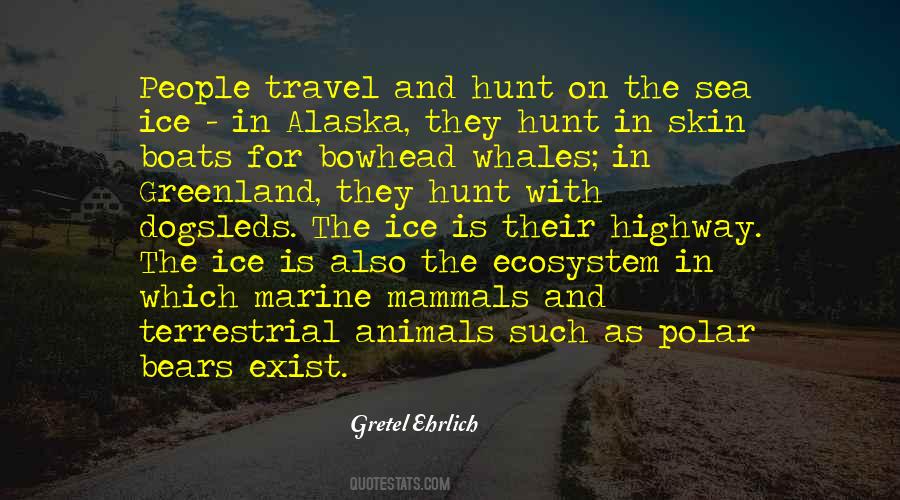 Quotes About Polar Bears #320415