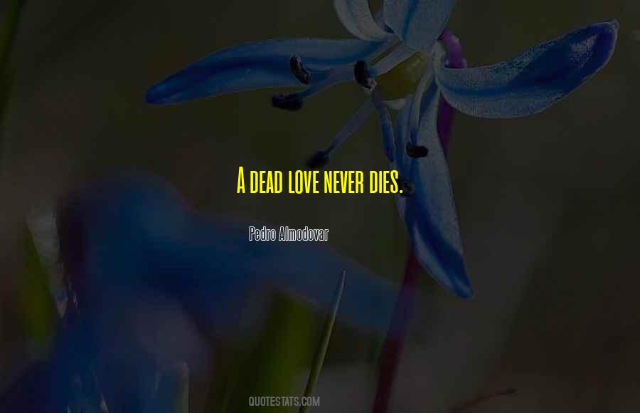 Quotes About Love That Never Dies #975840