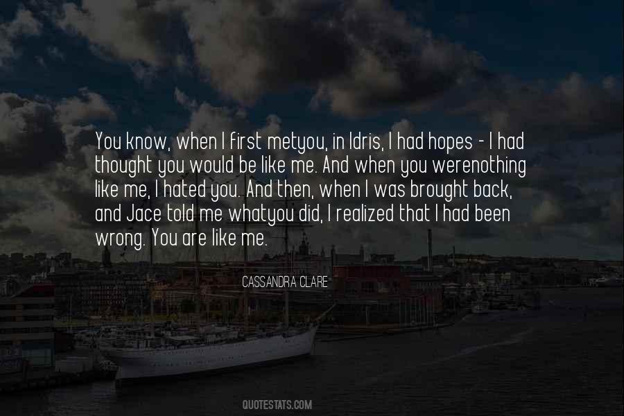 Quotes About You Did Me Wrong #1389449