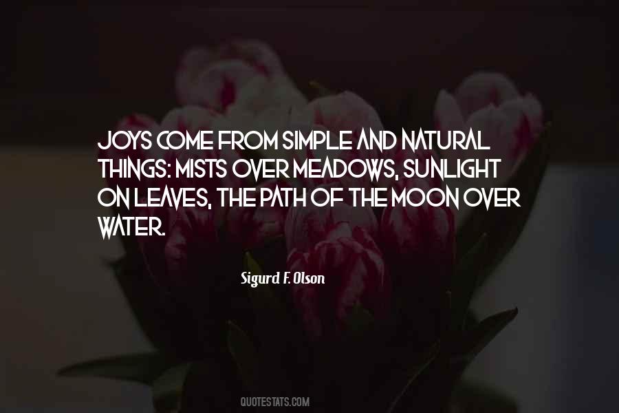 Quotes About Simple Joys #220722