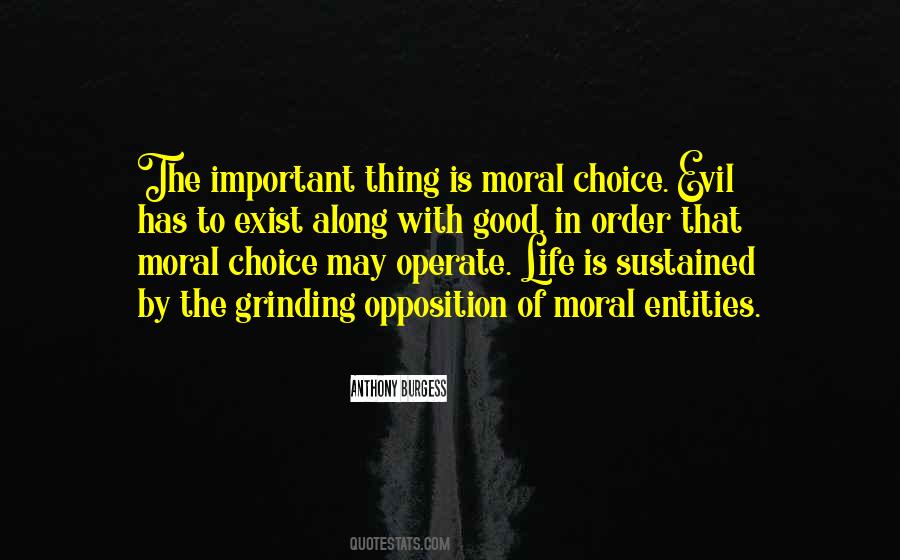 Quotes About The Choice Between Good And Evil #1065310