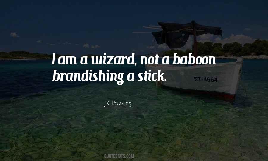 Quotes About A Stick #1630335