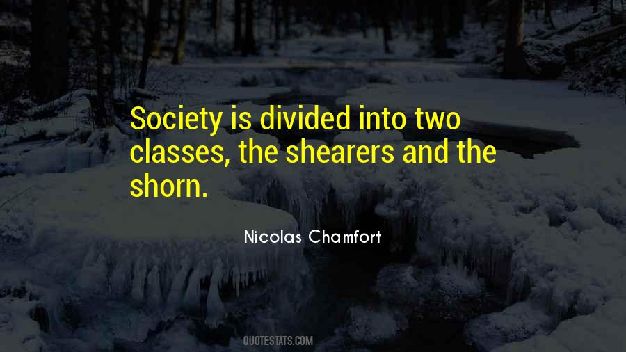 Quotes About Divided Society #646283