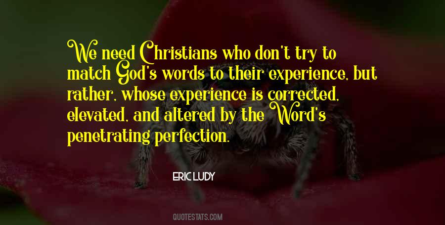 Quotes About Perfection And God #202347