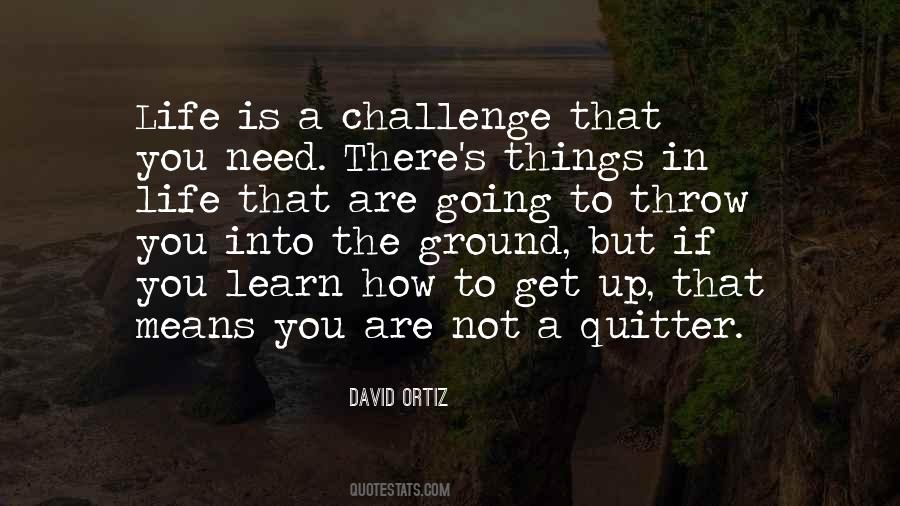 Not A Quitter Quotes #1704675