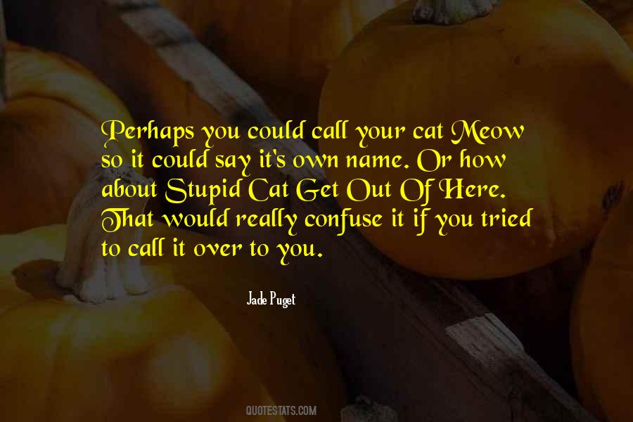 Quotes About Meow #828973