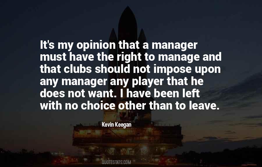 Quotes About A Manager #1817766