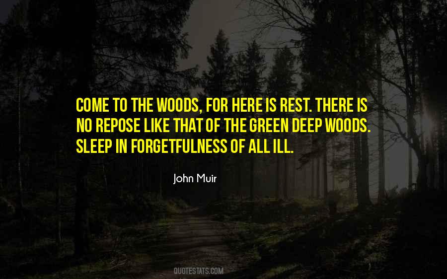 Quotes About Muir Woods #1475419