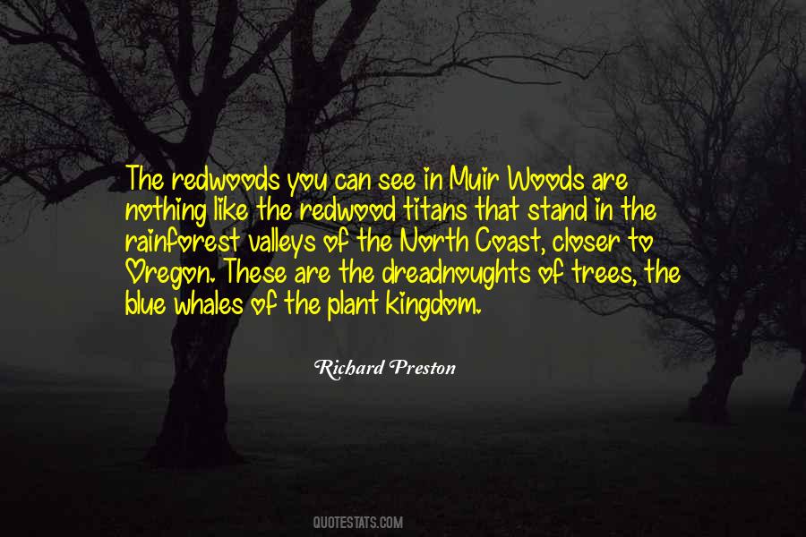 Quotes About Muir Woods #178809